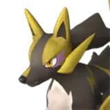 Rayhound Cryst