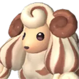 Woolipop Terra